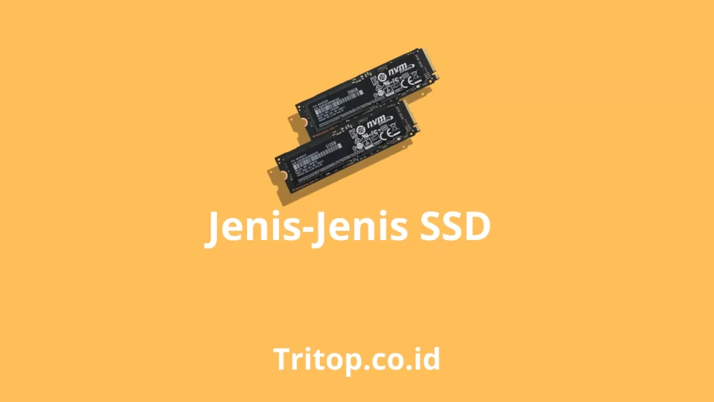 Jenis-Jenis SSD Tritop.co.id